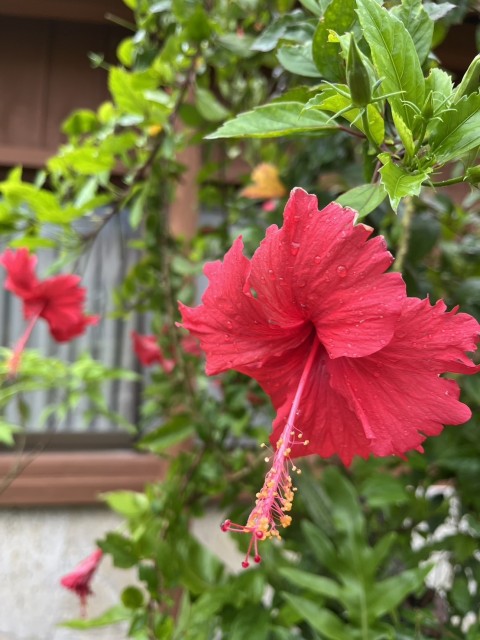 IMG_5893.jpeg