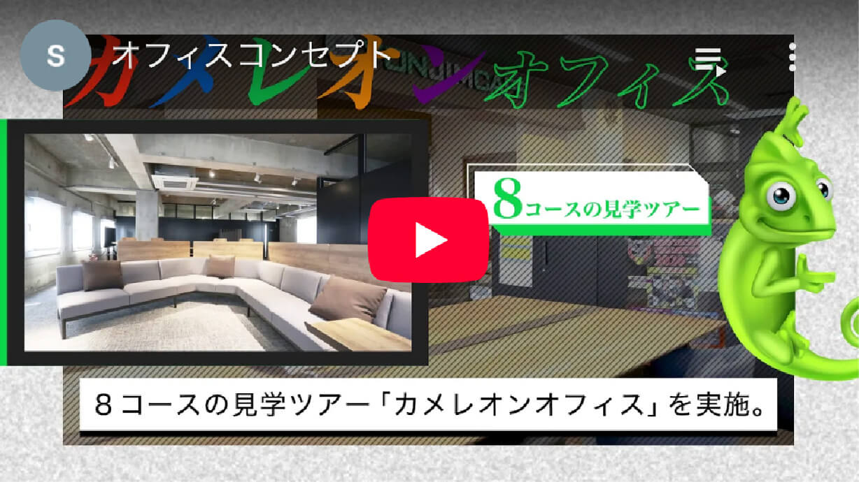 Chameleon Office Tour